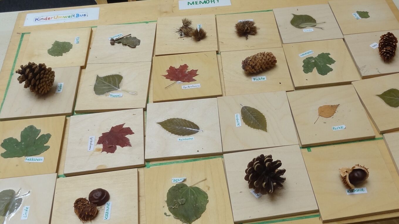 Holztafeln als Memory-Spiel mit Früchten und Blättern von Bäumen
